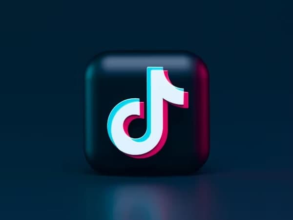TikTok Video Downloader